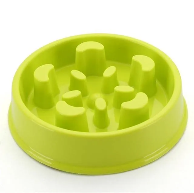 Slow Feeding Training Cat Bowl