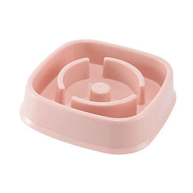 Slow Feeding Training Cat Bowl