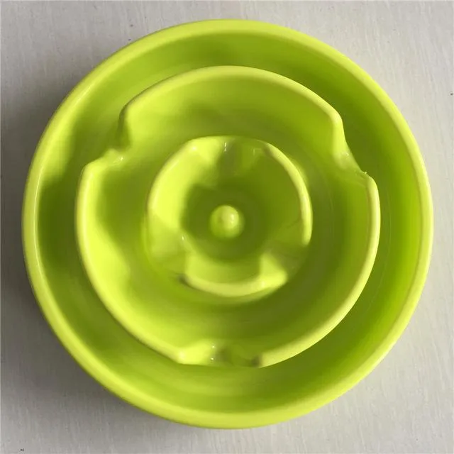 Slow Feeding Training Cat Bowl