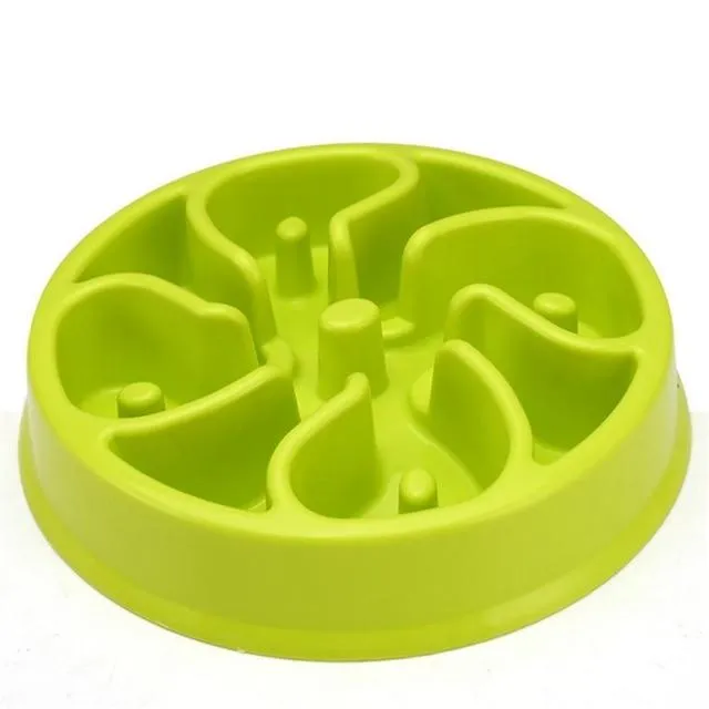 Slow Feeding Training Cat Bowl