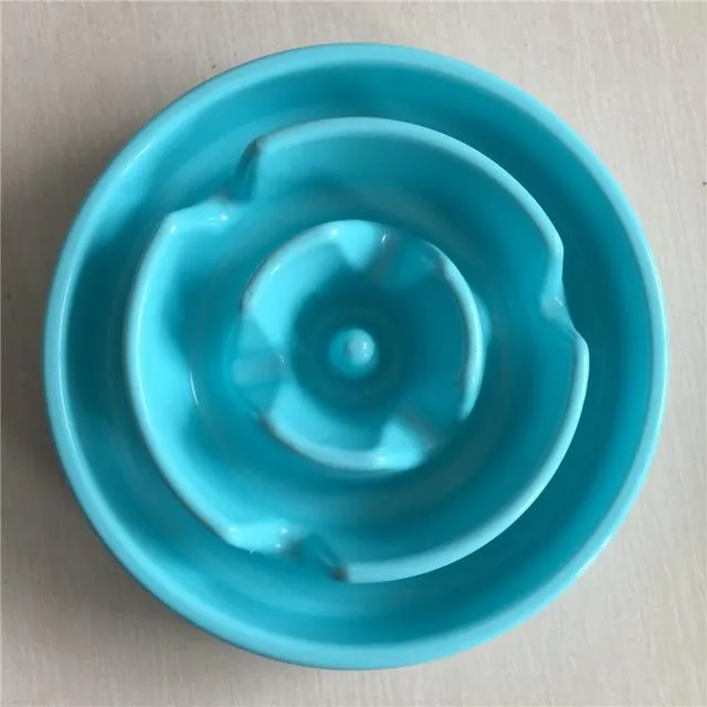 Slow Feeding Training Cat Bowl