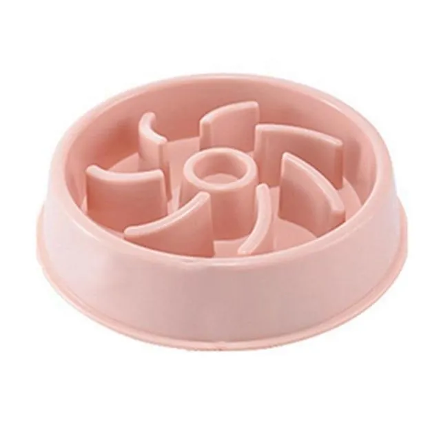 Slow Feeding Training Cat Bowl