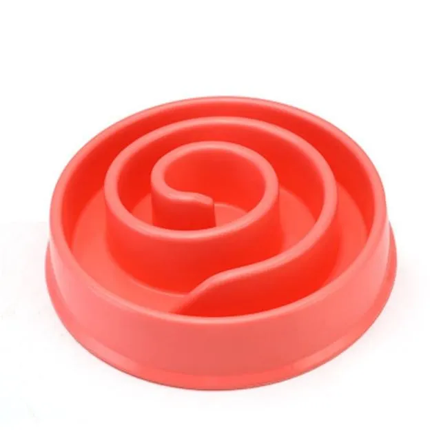 Slow Feeding Training Cat Bowl