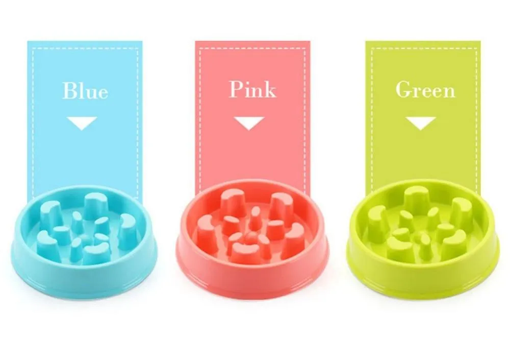 Slow Feeding Training Cat Bowl