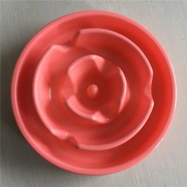 Slow Feeding Training Cat Bowl