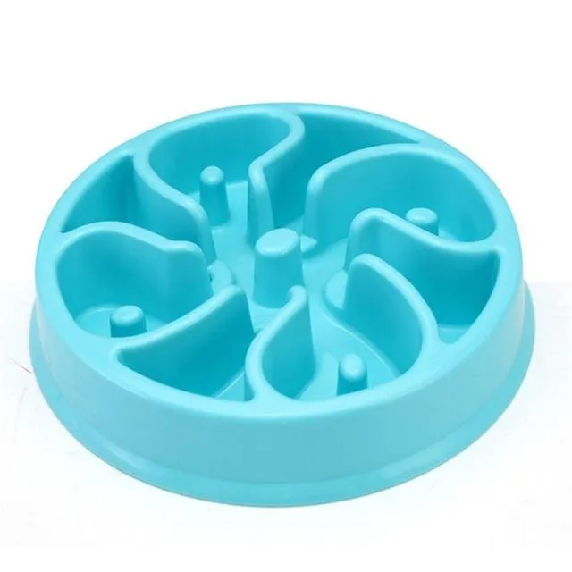 Slow Feeding Training Cat Bowl