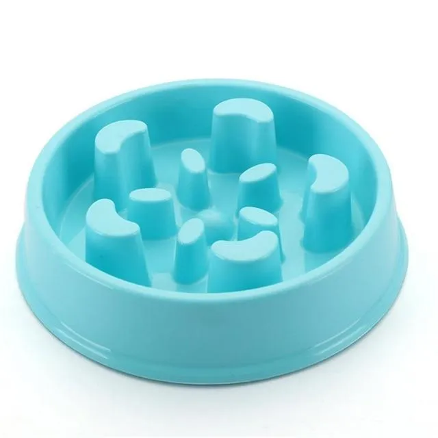 Slow Feeding Training Cat Bowl