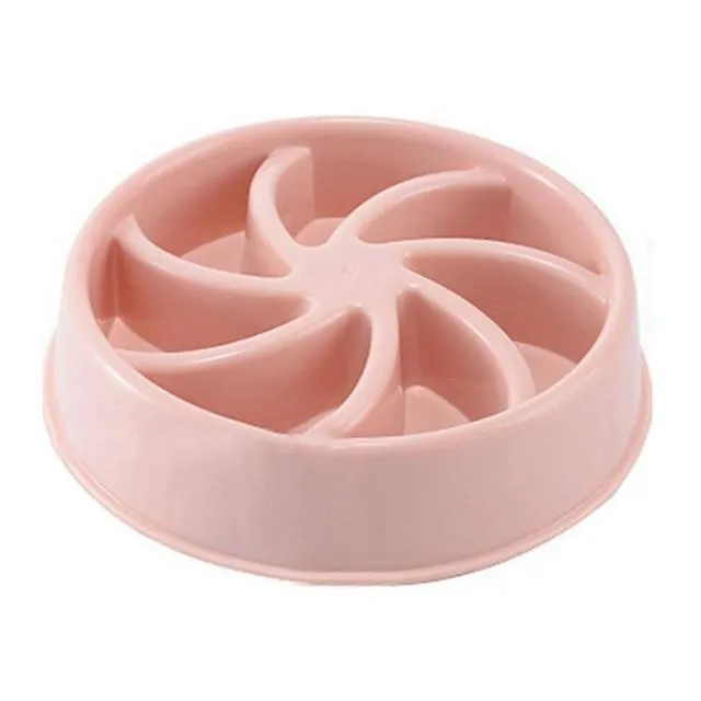Slow Feeding Training Cat Bowl