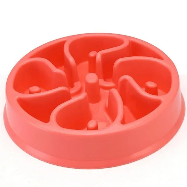 Slow Feeding Training Cat Bowl