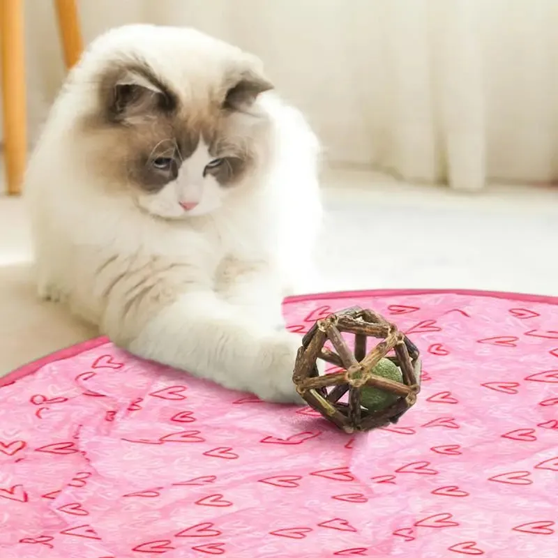 Smart Interactive Cat Toy with LED