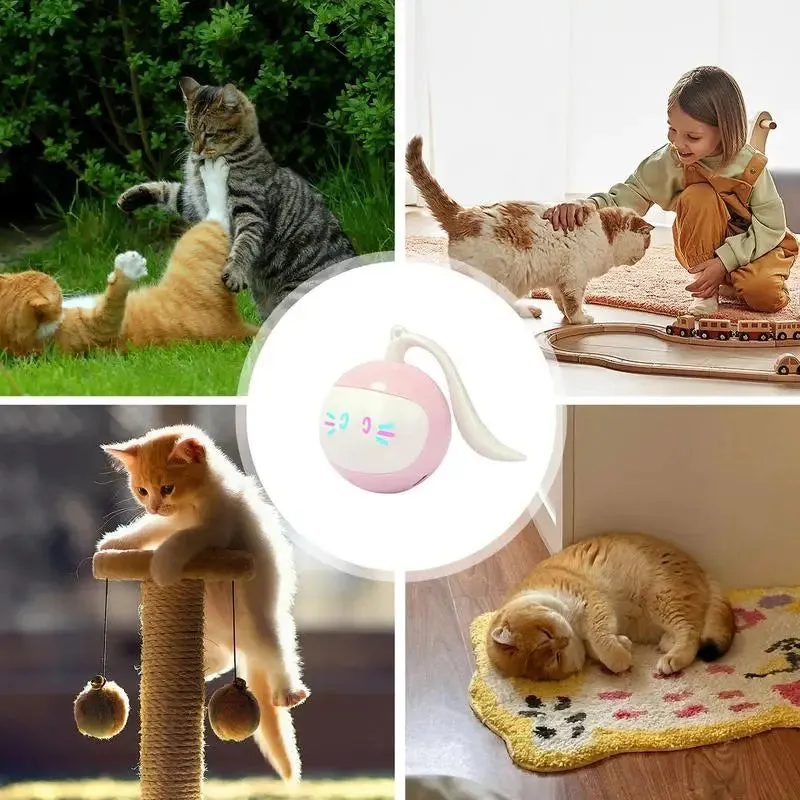 Smart Interactive Cat Toy with LED