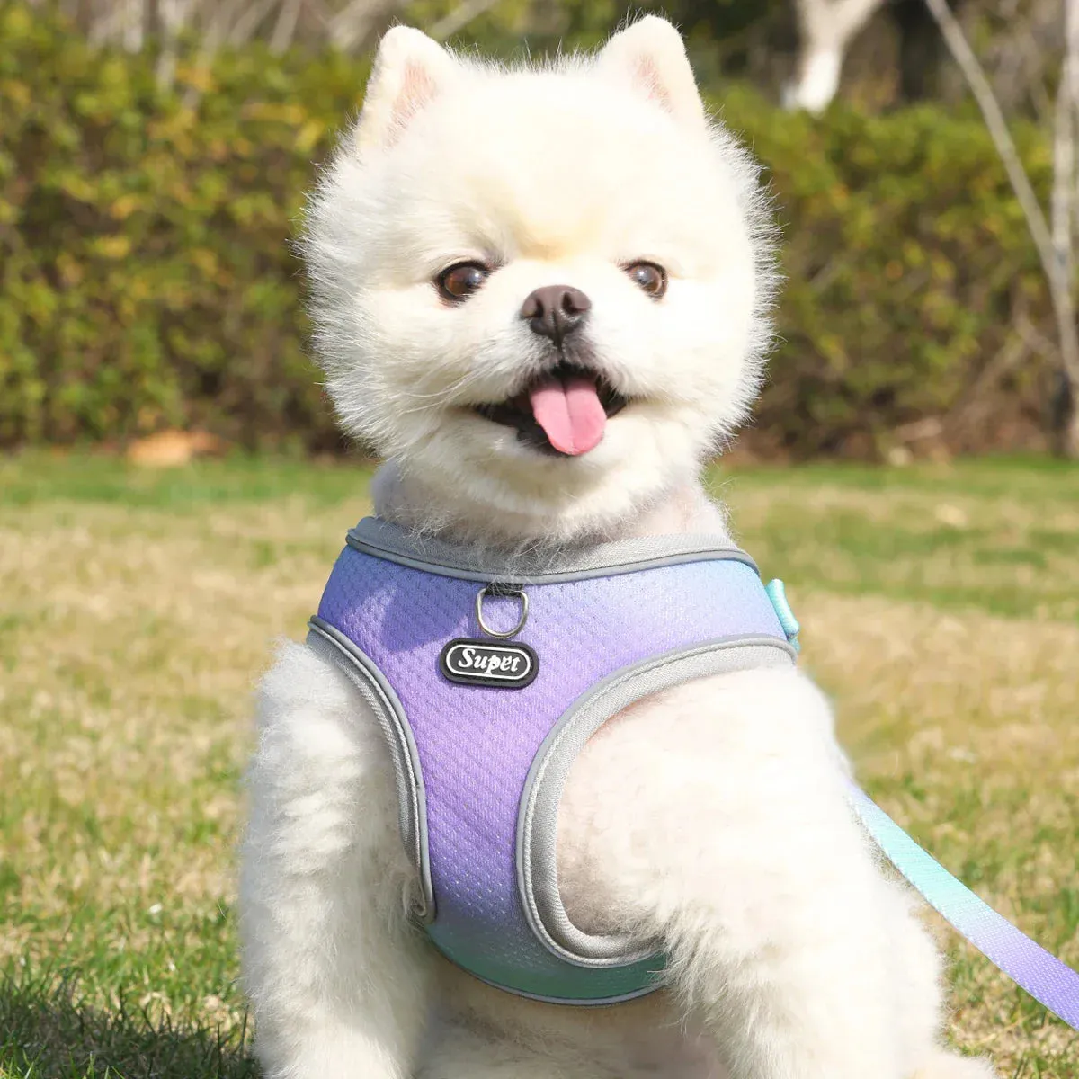 Supet Adjustable Pet Harness - Reflective and Breathable Vest for Dogs and Cats
