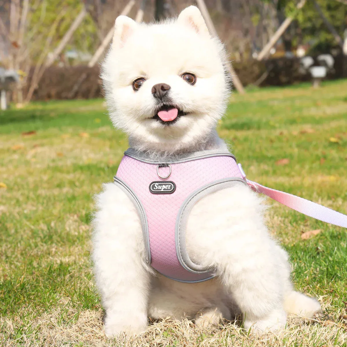 Supet Adjustable Pet Harness - Reflective and Breathable Vest for Dogs and Cats