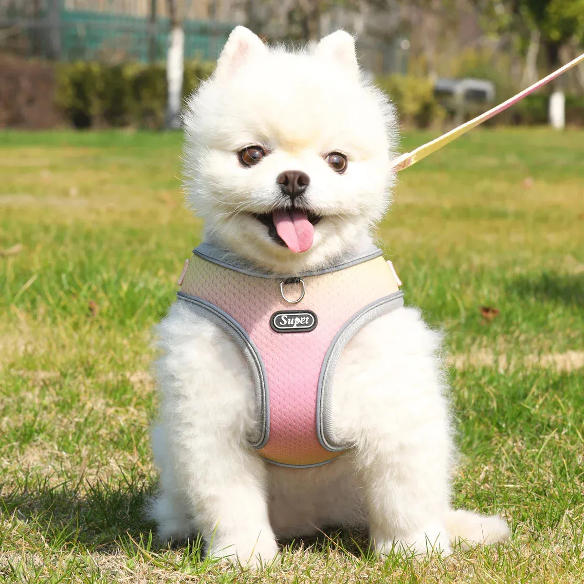 Supet Adjustable Pet Harness - Reflective and Breathable Vest for Dogs and Cats