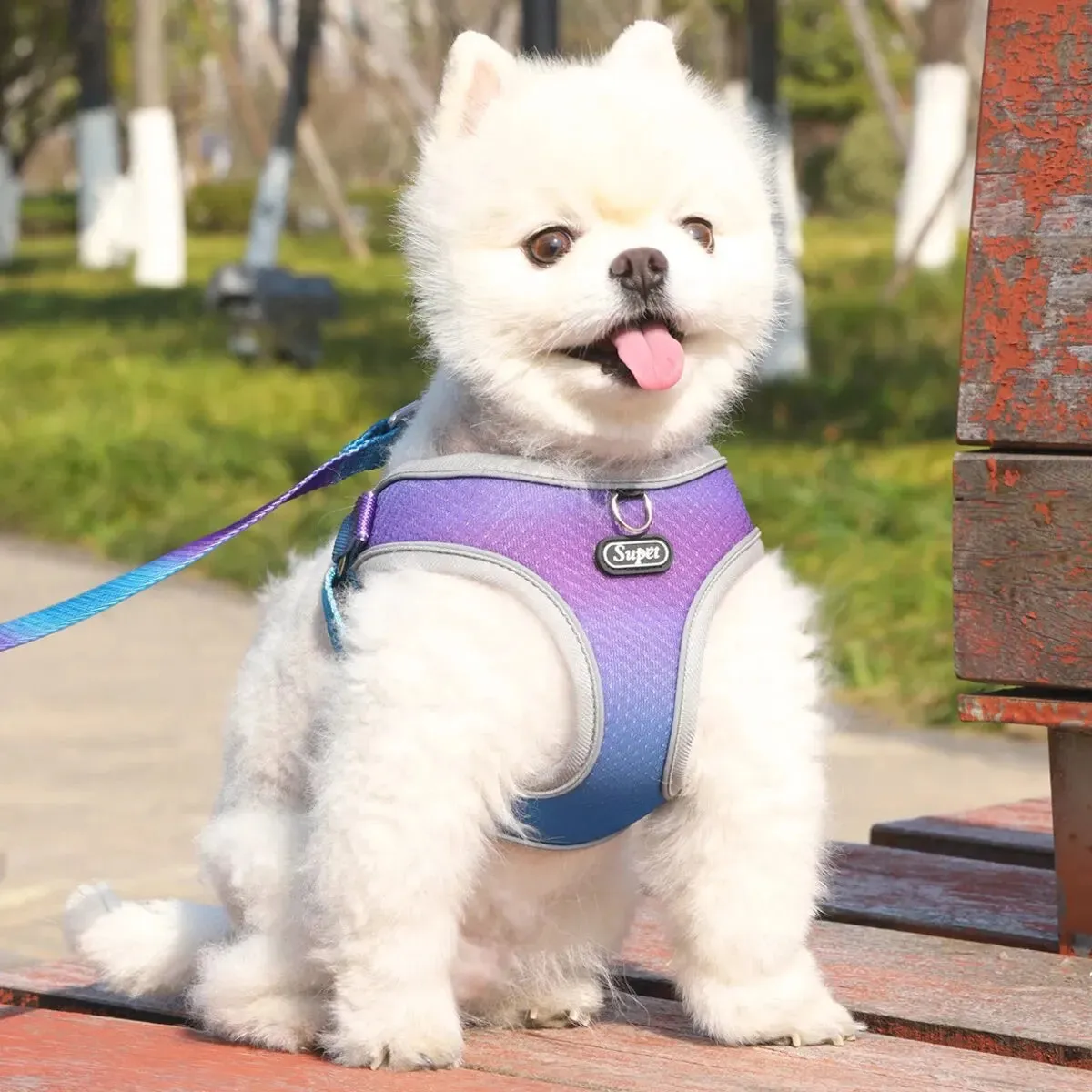 Supet Adjustable Pet Harness - Reflective and Breathable Vest for Dogs and Cats