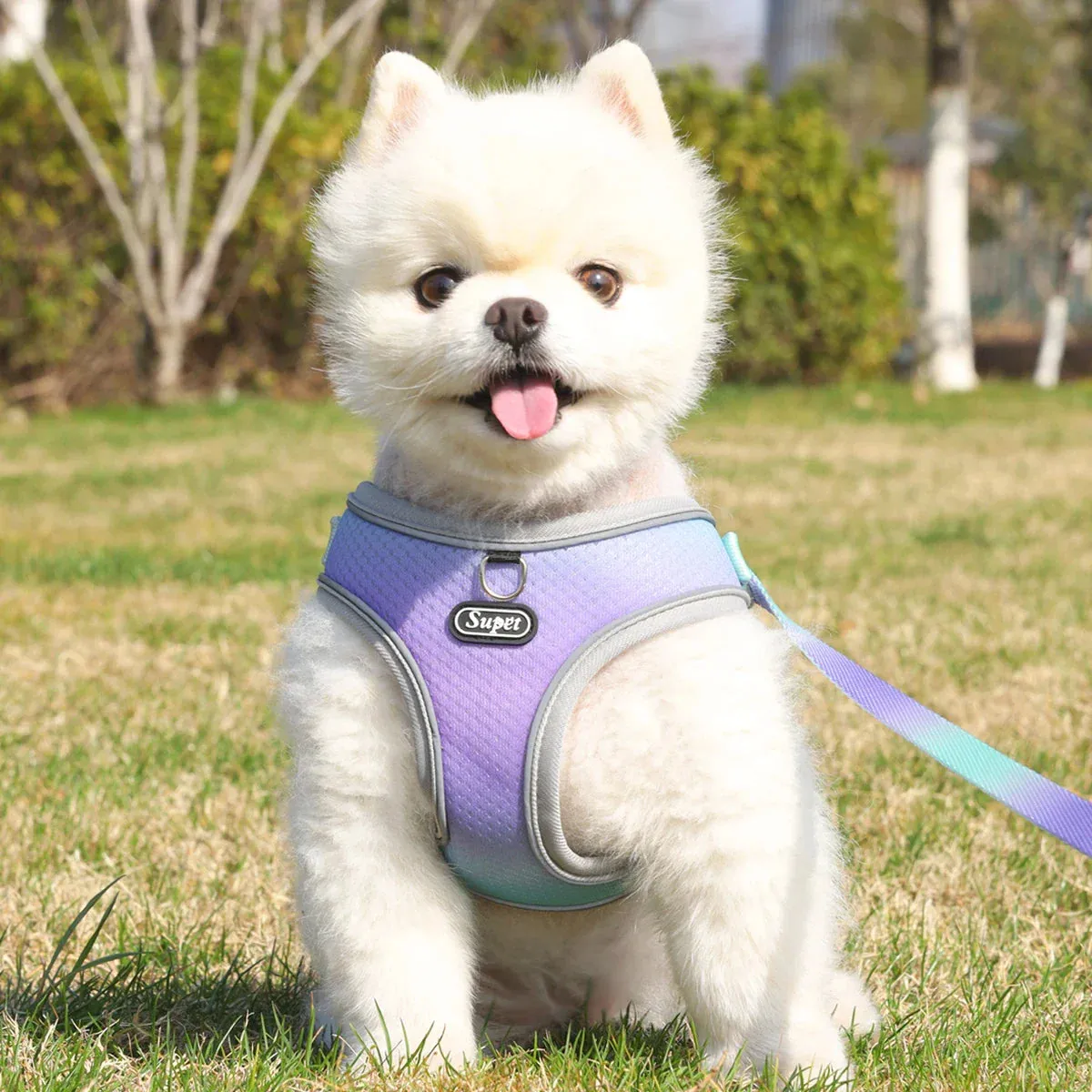 Supet Adjustable Pet Harness - Reflective and Breathable Vest for Dogs and Cats