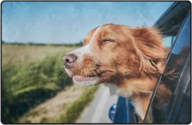 susiyo Doormat Dog Travel by Car Door Mat 31 x 20 inch Decor Front Door Rugs for Entrance
