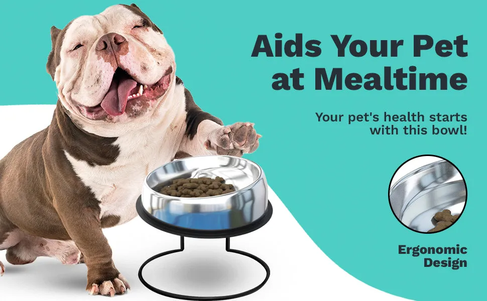 The Enhanced Pet Bowl