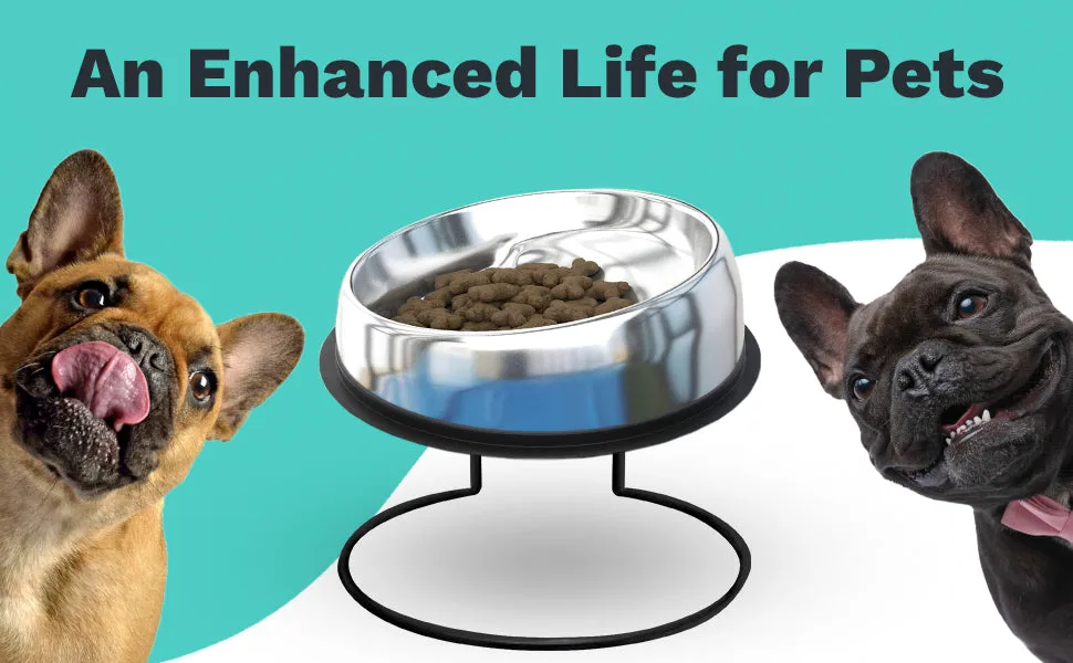 The Enhanced Pet Bowl