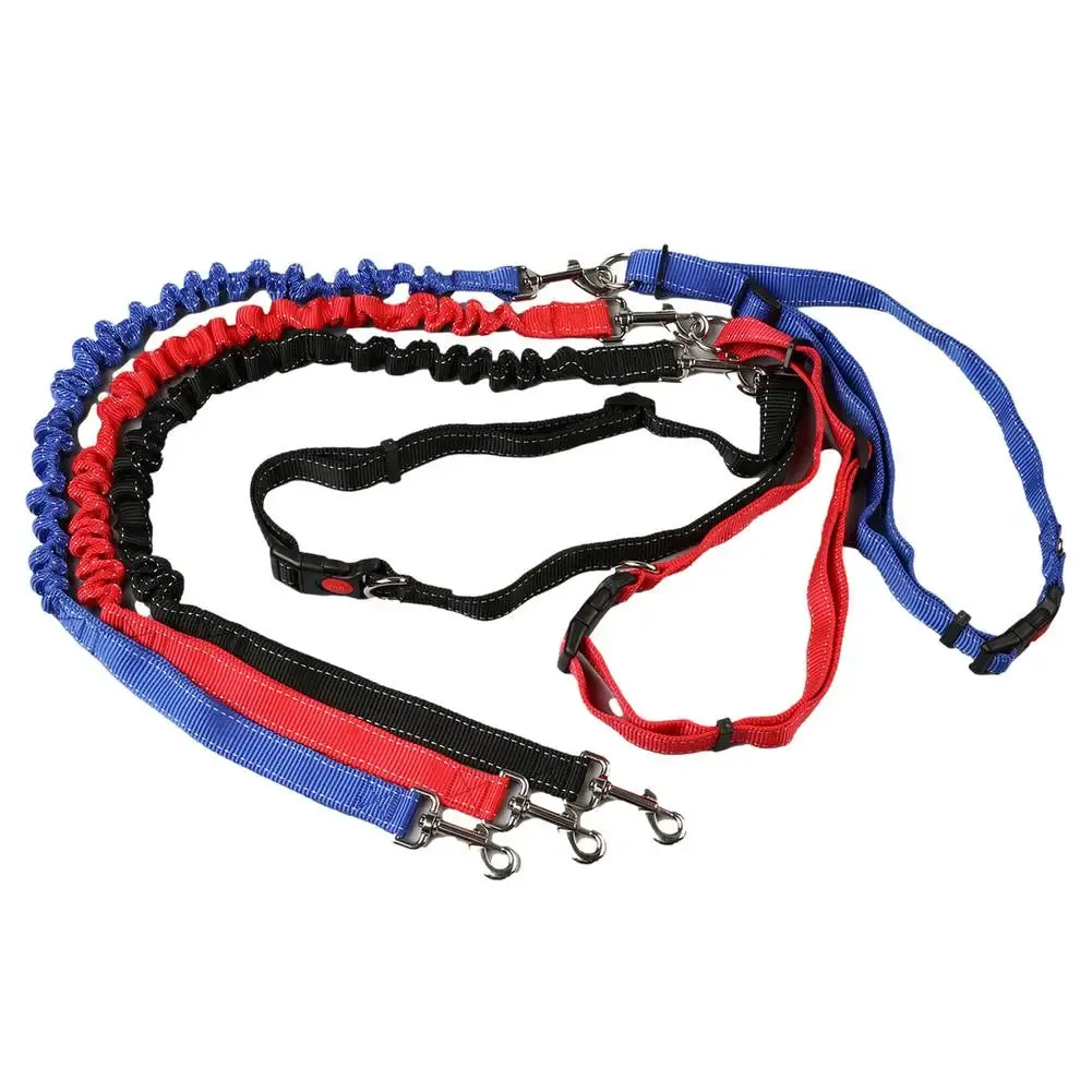 Training Dog Leash & Bike Dog Leash