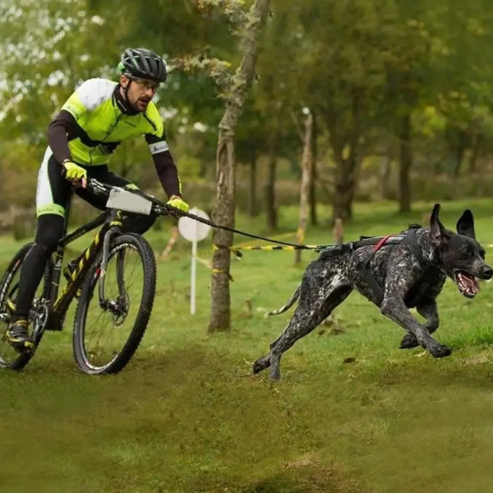 Training Dog Leash & Bike Dog Leash