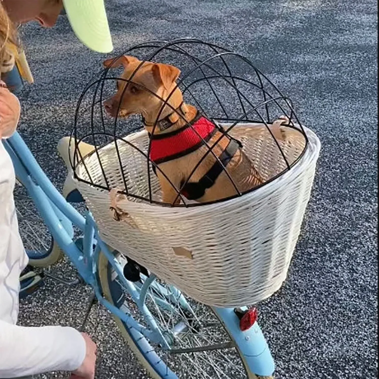Wicker Dog or Cat Carrier with Protective Grille - for Bicycle Luggage Rack & Metal Holder - Ecru Color with Soft Cotton Cushion
