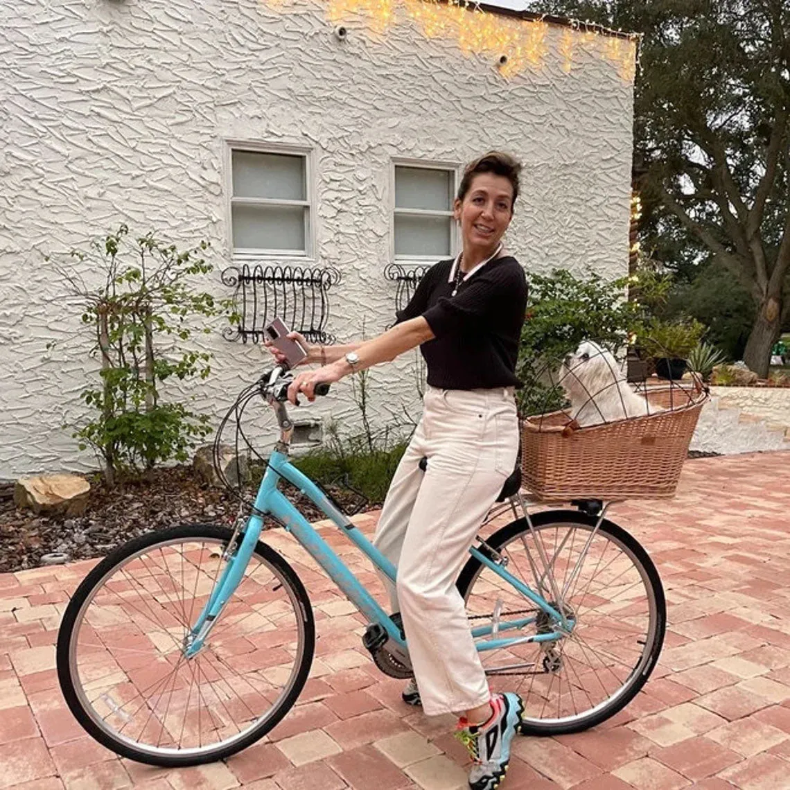 Wicker Dog or Cat Carrier with Protective Grille - for Bicycle Luggage Rack & Metal Holder - Natural Rattan Color with Soft Cotton Cushion