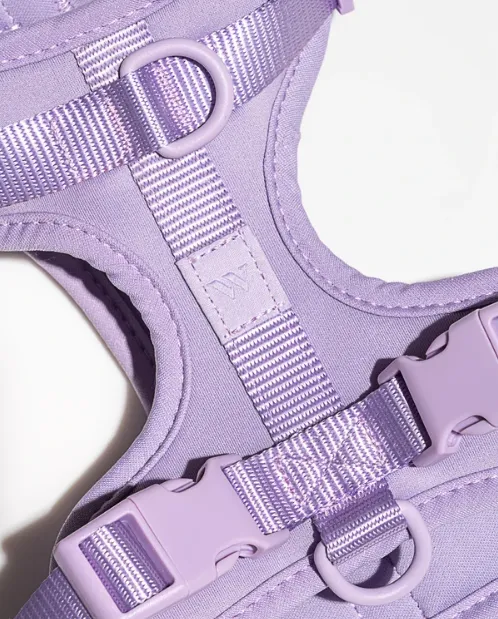 Wild One Comfort Harness - Lilac
