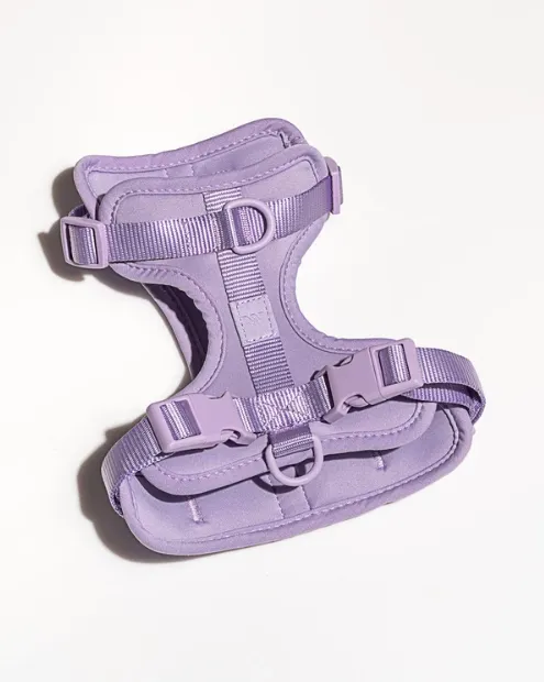 Wild One Comfort Harness - Lilac