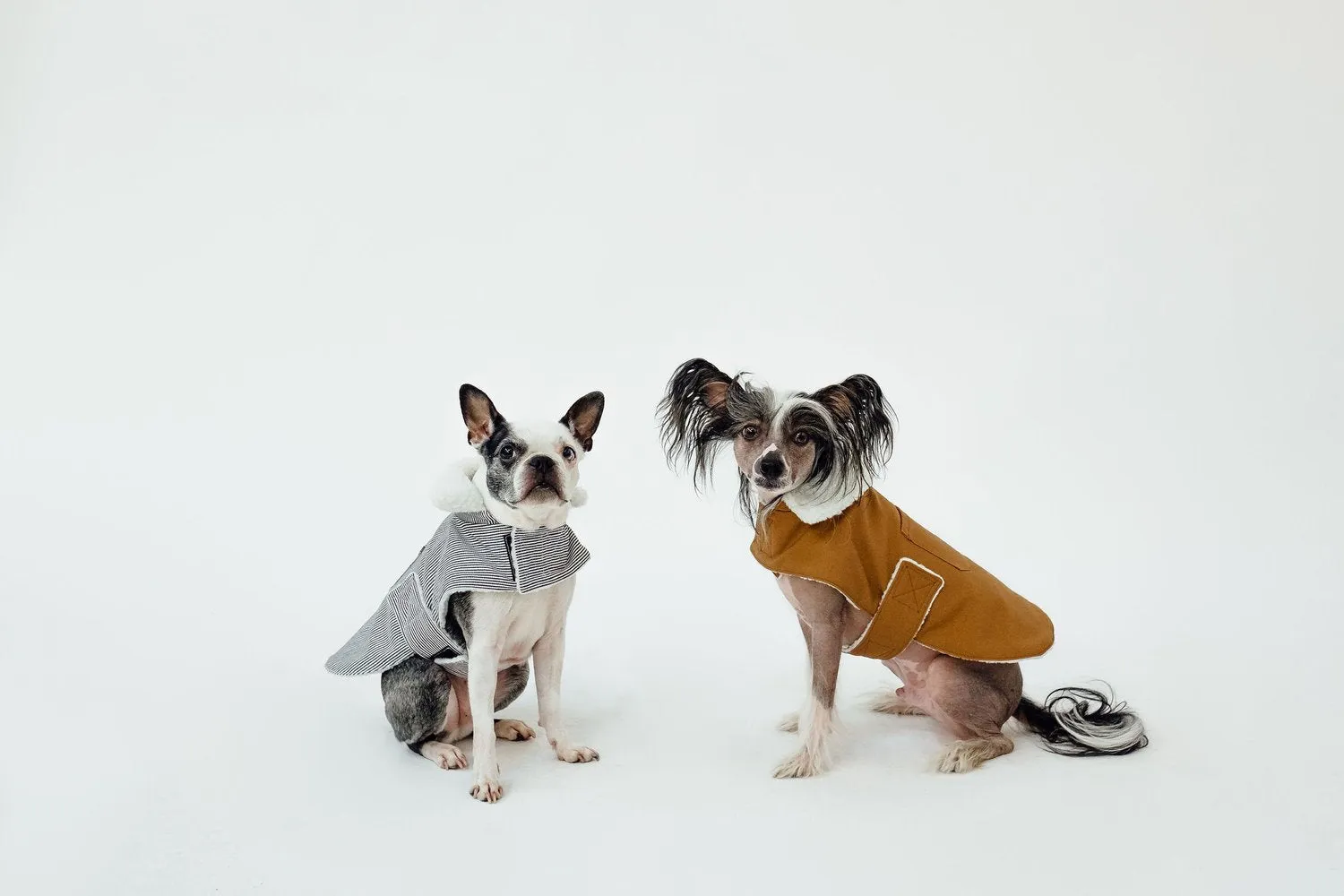 Working Dog Fleece Coat - Tan