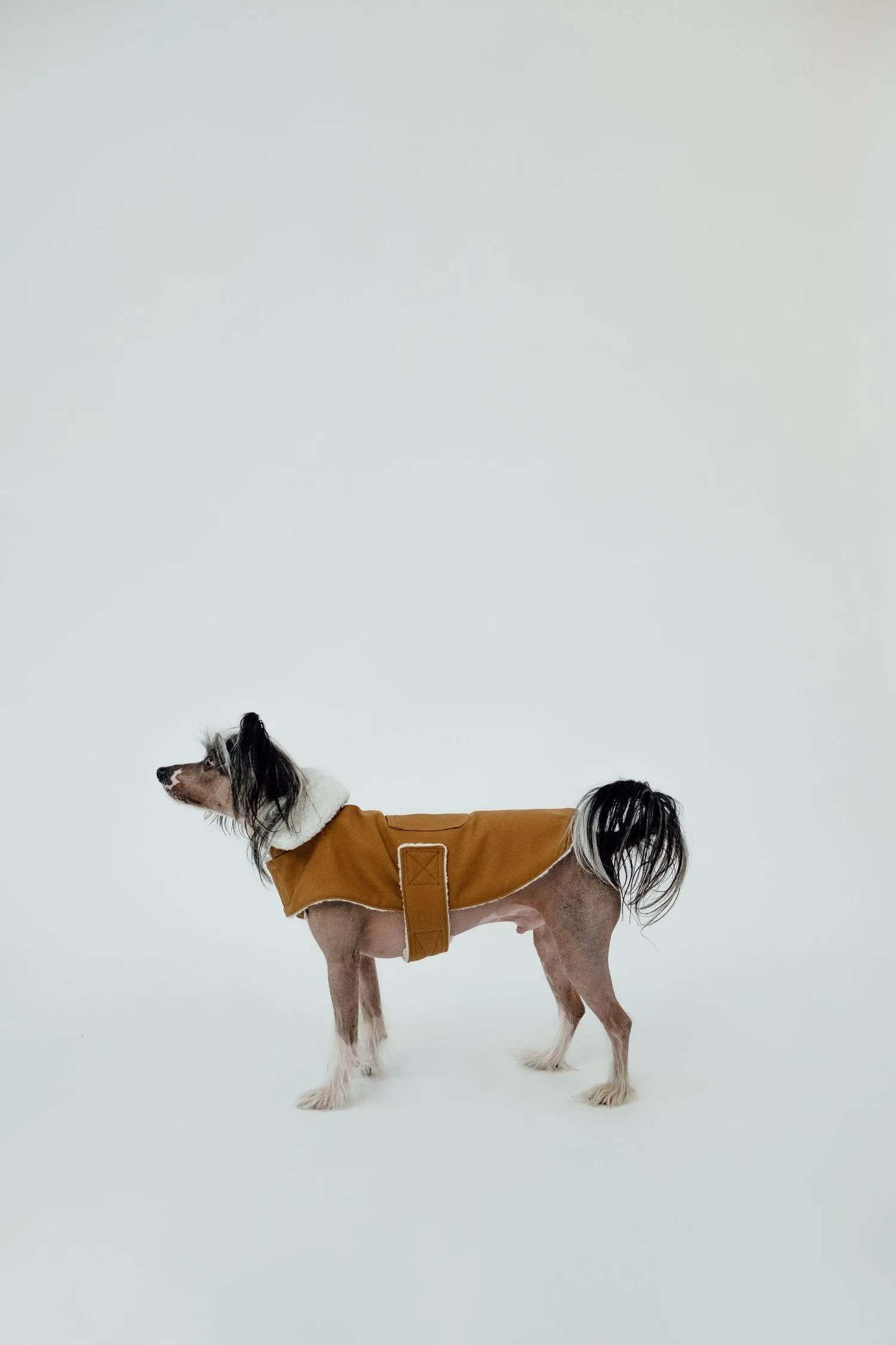 Working Dog Fleece Coat - Tan